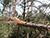 Lukashenko criticizes sluggish early response to recent storms in Belarus