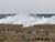 Set of measures taken by Belarus to make Zapad 2025 army exercise transparent