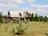 Lukashenko signs decree on development of farm tourism