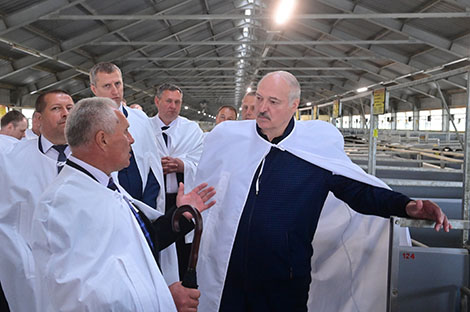 Лукашенко о результатах работы на селе: будет дисциплина - проблем не будет