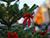Пусть Рождество наполнит дома теплом взаимопонимания и благополучием - Лукашенко поздравил христиан