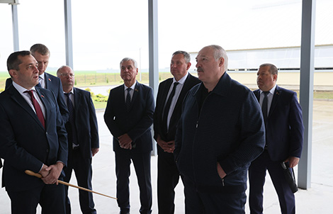 Лукашенко о результатах работы на селе: будет дисциплина - проблем не будет