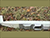 Эйсмонт про инцидент с литовским дроном: однажды выстрелив себе в ногу, они стреляют уже себе между ног