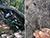 Belarusian archaeologists uncover traces of 1st millennium armed conflict
