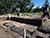 About 400 artifacts unearthed in Rogachev District
