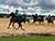 Kyrgyzstan invites Belarus to take part in 2026 World Nomad Games