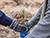 Over 20,000 people join Belarus’ reforestation campaign in one week