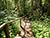 Belarus’ national parks, Berezinsky Biosphere Reserve see tourist boom