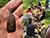 Amber pendants, stone maces found during excavations in Lepel District