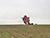Cafe near bison sculpture on M1 highway to serve Belarusian-Tatar cuisine