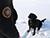 Dense forests and concrete rubble: Meet the Belarusian rescue dog nominated for internaitonal award