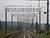 Commuter train service launched between Belarus, Russia