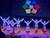 Belarus wins nine medals at SCO Youth Delphic Games
