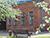Marc Chagall Museum in Vitebsk draws over 55,000 visitors in 2024