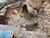Ruzhany excavation reveals two long-lost towers of Sapieha Castle from the 1600s