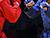 Belarus win six medals on first day of European sambo championships in Serbia
