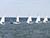 World Sailing lifts restrictions on Belarusian athletes