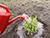 Belarus to hold national subbotnik on 18 April