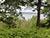 From eco-trails to forest zoo: How Berezinsky reserve attracts 100,000 tourists a year