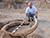 Historian: Mammoth tusk discovered in Vitebsk District likely belonged to adult specimen
