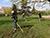 Over Br15.8m earned during national cleanup day in Belarus