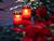 Belarus to observe moment of silence to honor Great Patriotic War victims on 22 June