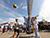 Pruzhany to host Vytoki festival on 6-8 June