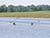 2025 Best Athletes Cup in Canoe Sprint kicks off in Belarus’ Zaslavl