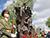 Tree of Life monument unveiled at former POW camp in Grodno