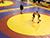 Belarusian wrestling tournaments draw thousands of online viewers
