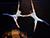 Minsk to host circus art festival on 17-20 September