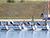 Belarus win 38 medals at SCO Open Cup of Canoe Sprint 2026