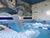 Belarusian health resort industry sees steady demand in 2024