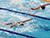 Belarusian athletes win 12 medals at 25th Deaflympics in Tokyo
