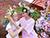 Organizers unveil new attractions for Kupala Night Festival in Alexandria