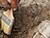 Archaeologists discover medieval forge during excavations in Oshmyany District
