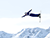 Olympics 2026: Belarus’ Huskova 8th in Women’s Aerials final