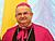 Apostolic Nuncio: Organizing Pope's visit to Belarus is my top priority