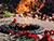 Lukashenko: All generations of Belarusians cherish Great Victory