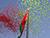 Expert: People’s Unity Day in Belarus reflects actual reunification of people