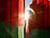 Lukashenko: Belarus remains committed to peaceful foreign policy