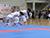 Lukashenko: Sport is cornerstone of Belarusian policy