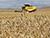Agribusiness described as fundamental branch of Belarusian economy