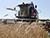 Lukashenko on harvest 2023: Belarus will be food sufficient