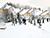 Lukashenko stresses national unity in snowfall cleanup efforts