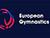 Белорус Федоров возглавил технический комитет European Gymnastics по спортивной гимнастике