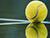 Азаренко вышла в 1/16 финала турнира WTA-1000 в Дохе