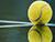 Герасимов пробился в основную сетку теннисного турнира во Франции