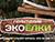 Практикум "Экоелки" пройдет в Ботаническом саду 12 и 13 декабря