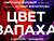 "Цвет запаха": арт-проект художницы и парфюмера представят в Минске 9 декабря